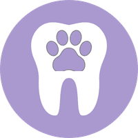 Dental